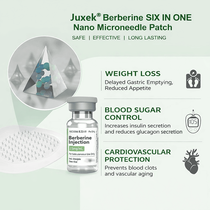 🏆Hot-Sale⚡Juxek Berberine-6-In-1-Nano Microneedle Patch