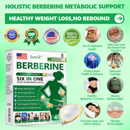 🏆Hot-Sale⚡Juxek Berberine-6-In-1-Nano Microneedle Patch